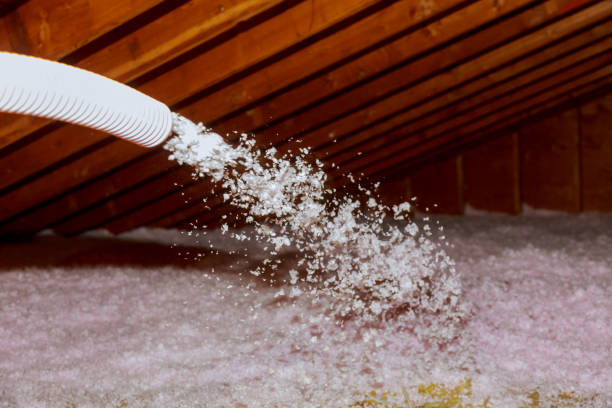 Insulation Replacement Services in St Bonaventure, NY