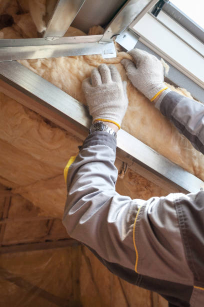 Best Insulation Replacement Services  in St Bonaventure, NY