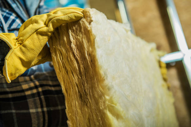 Best Home Insulation Services  in St Bonaventure, NY