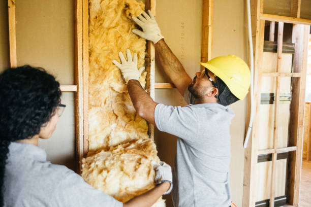 Best Residential Insulation Services  in St Bonaventure, NY